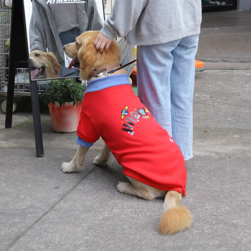 犬服 大型犬用ハッピーデー柄スポーツウェアTシャツ