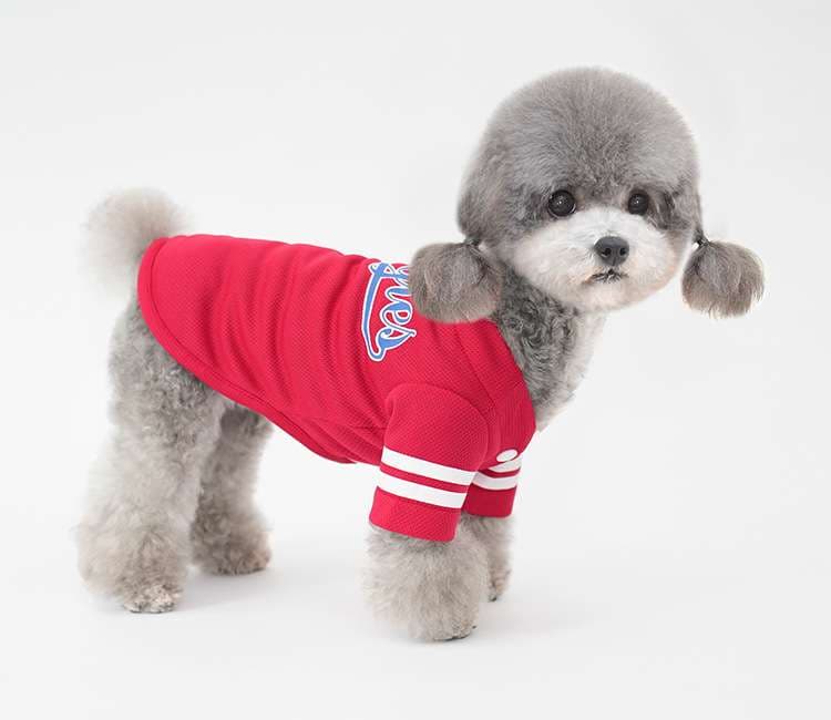 犬服 小型犬用スポーツウェア
