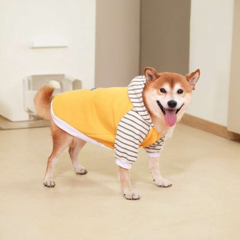 犬服 フード付きスポーティーパーカー