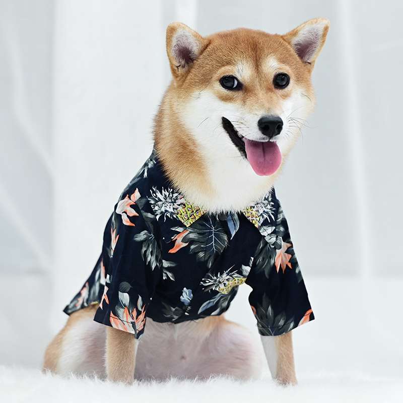 犬服 アロハ柄シャツ 中型犬用夏服