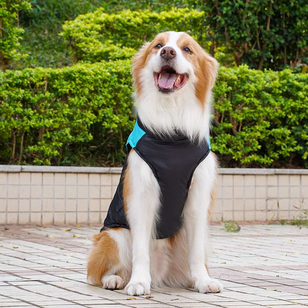 犬服 犬用あったかアウターベスト