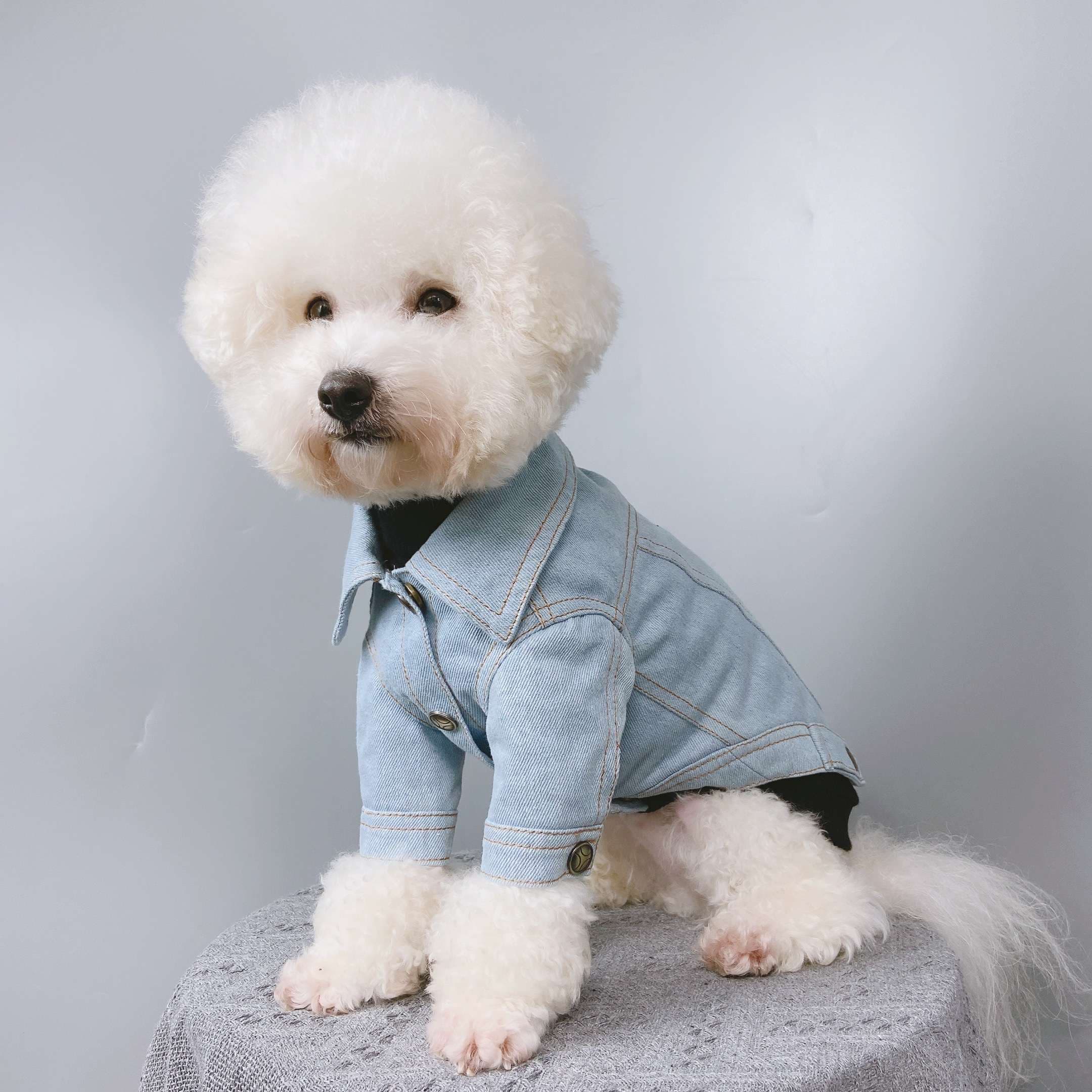 犬服 アウターわんちゃんのおしゃれデニムジャケット