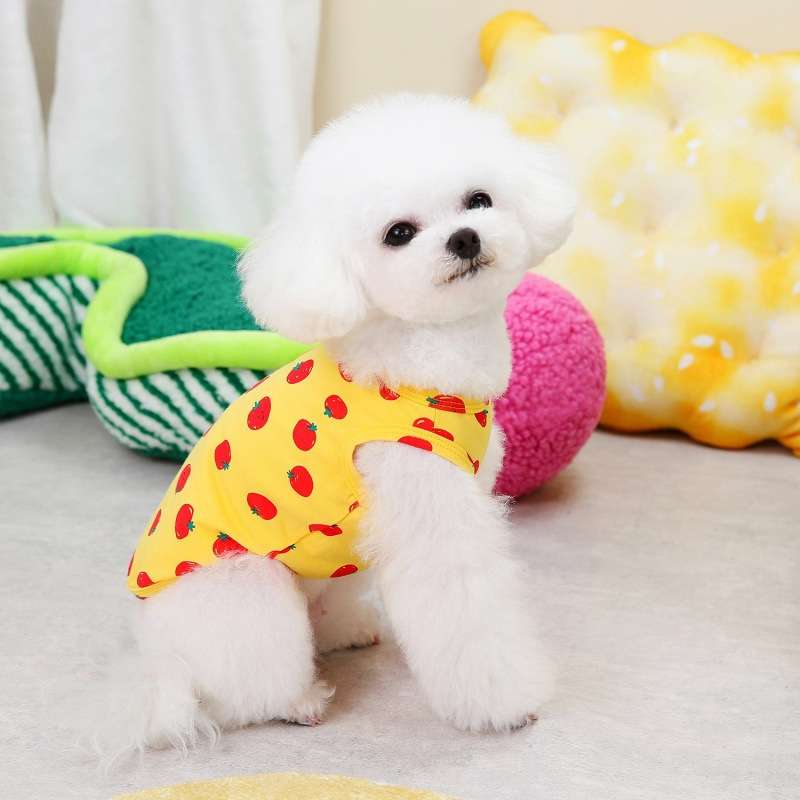 犬服 いちごプリントの可愛いタンクトップ