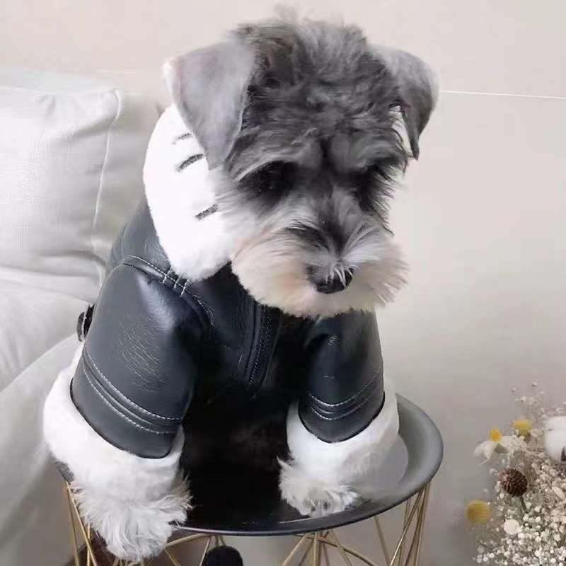 犬服 高級感あふれる革ジャケット風コート