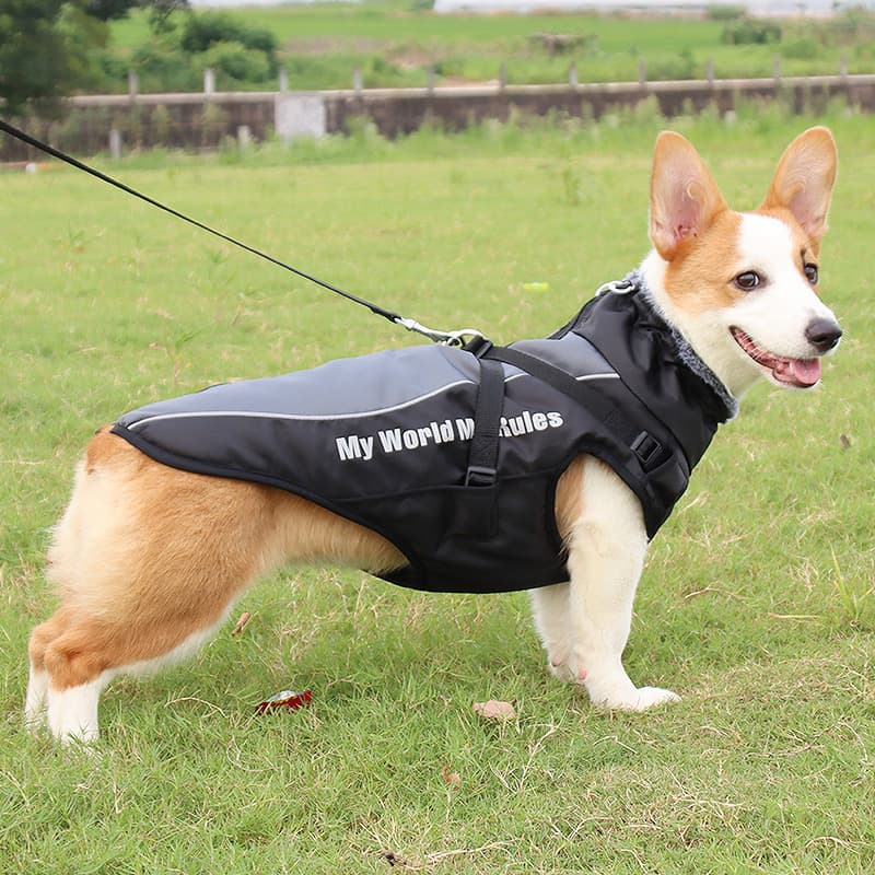 犬服 多機能ベスト型散歩ジャケット