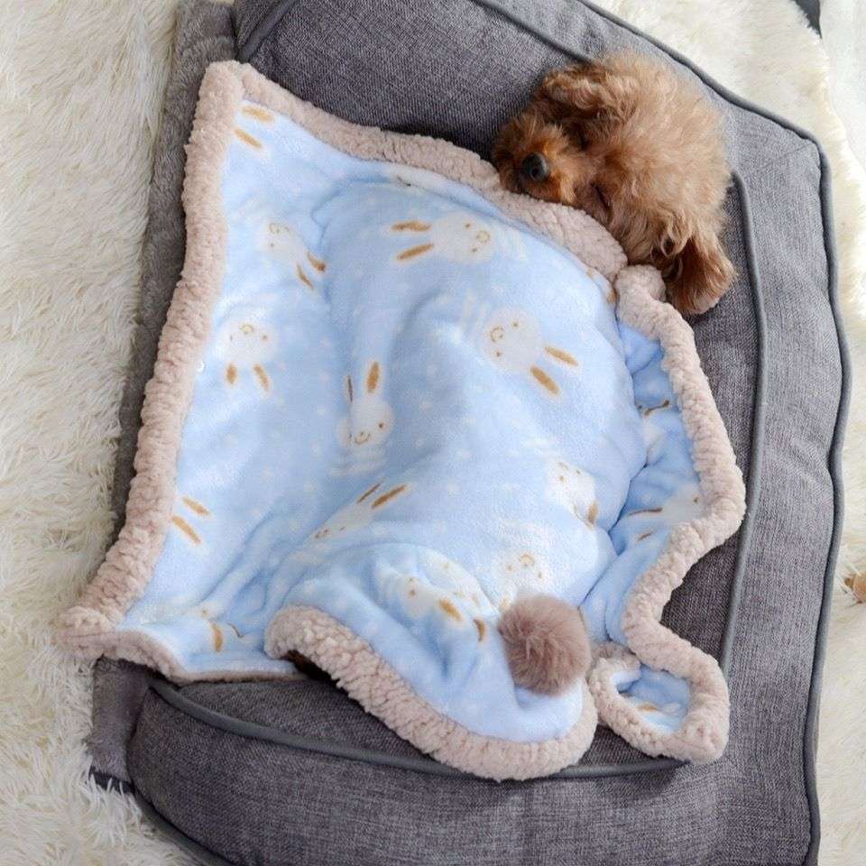 犬服 うさぎさん柄のもこもこペット用ブランケット