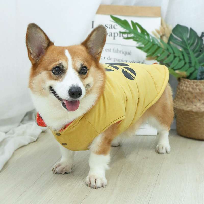 犬服 中型犬用パウプリント保温ベスト