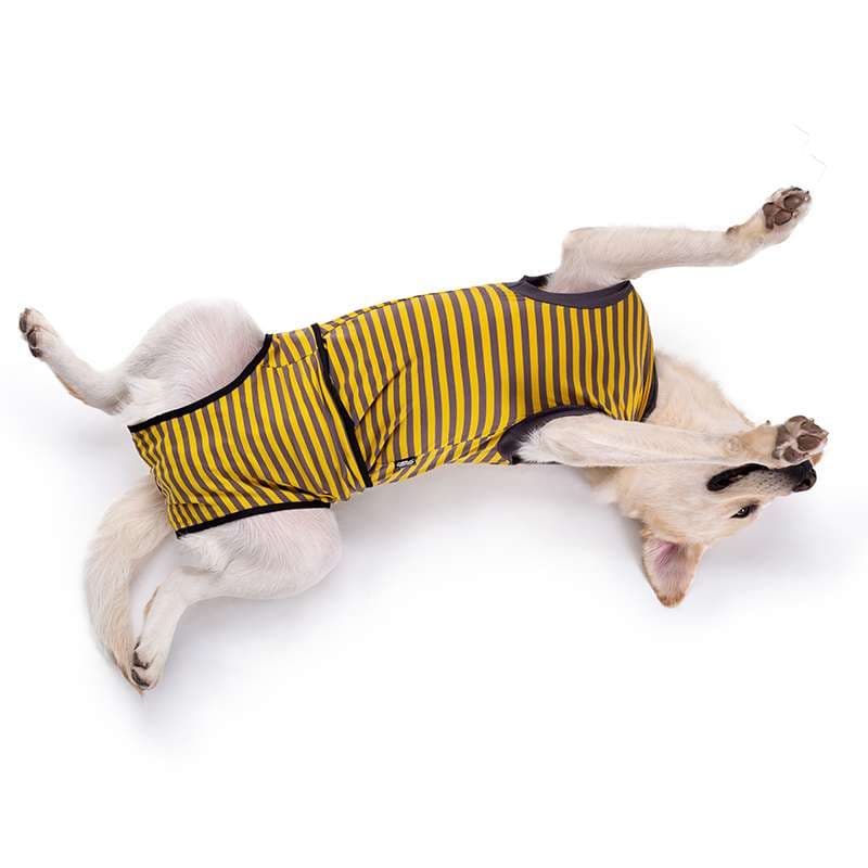 犬服 大型犬用ボーダー柄サマーベスト