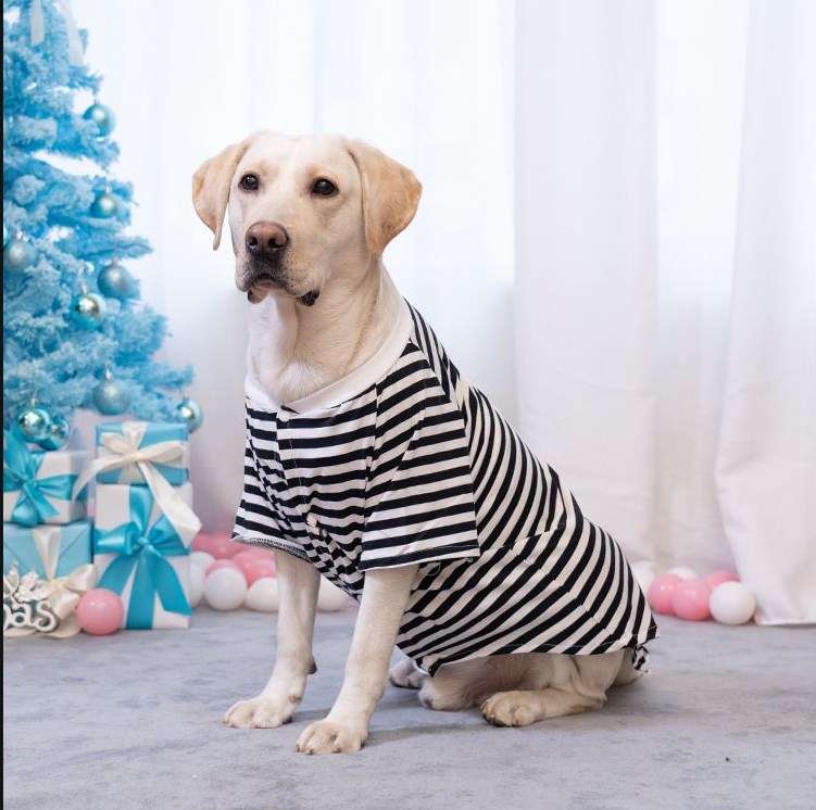 犬服 大型犬用ボーダー柄オーバーサイズTシャツ