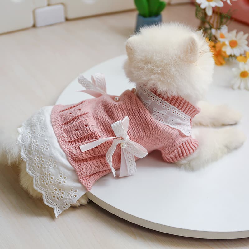 犬服 天使の羽付きレース襟リボンニットセーター