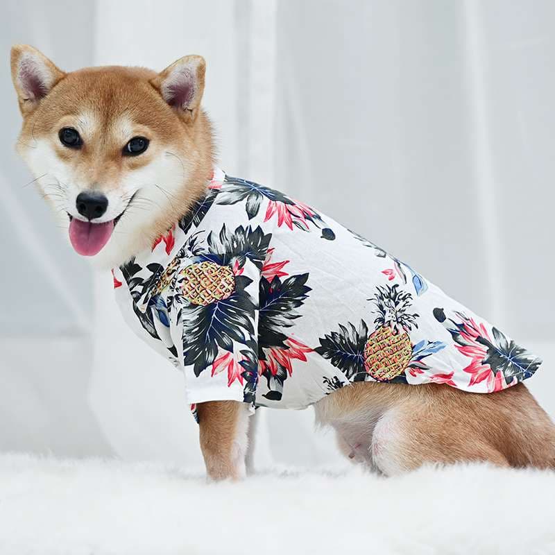 犬服 アロハ柄シャツ 中型犬用夏服