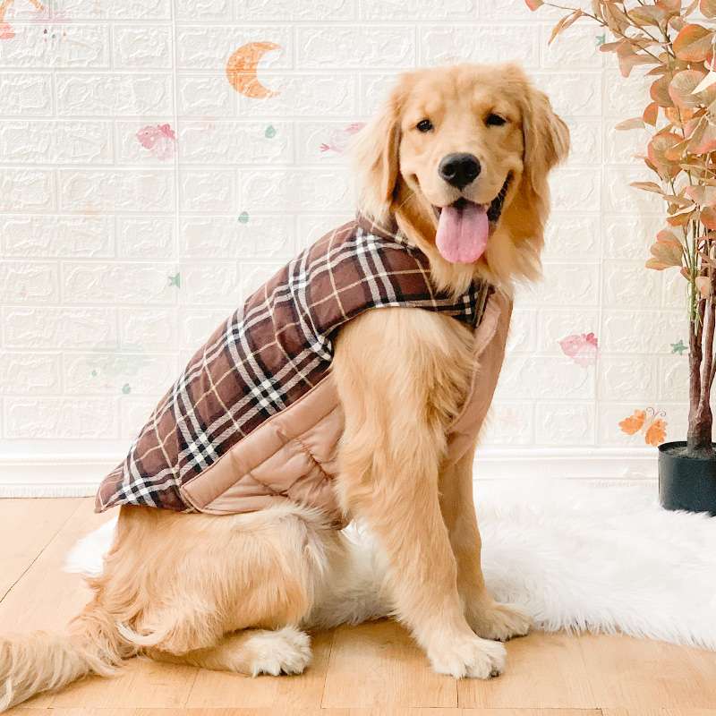 犬服 大型犬用オールインワン防寒着