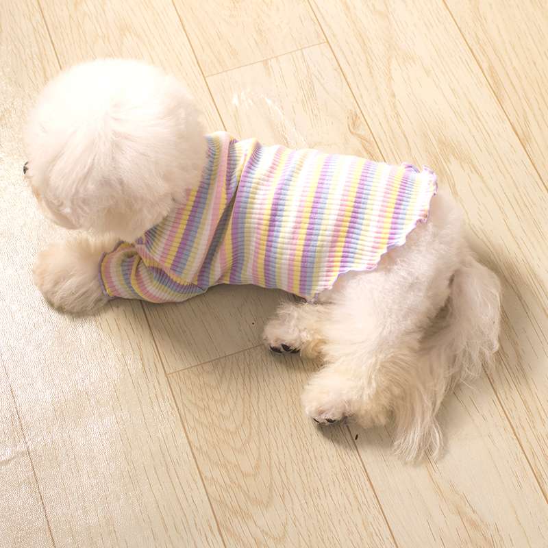犬服 ワンちゃん用パステルボーダーシャツ
