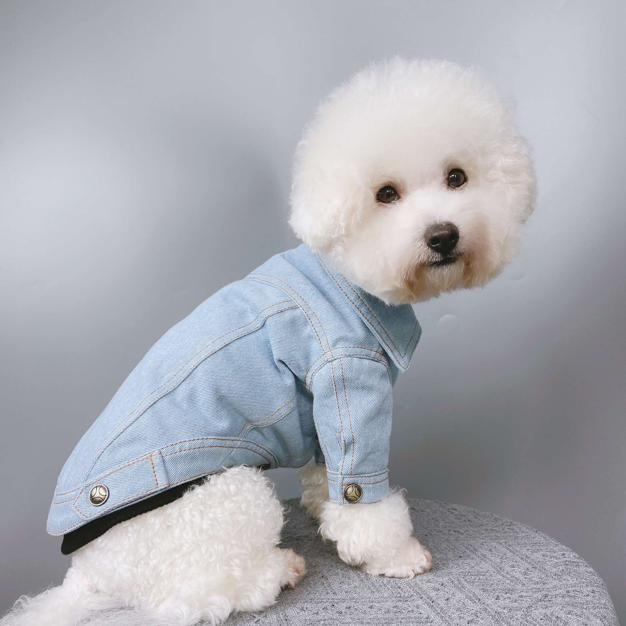 犬服 アウターわんちゃんのおしゃれデニムジャケット