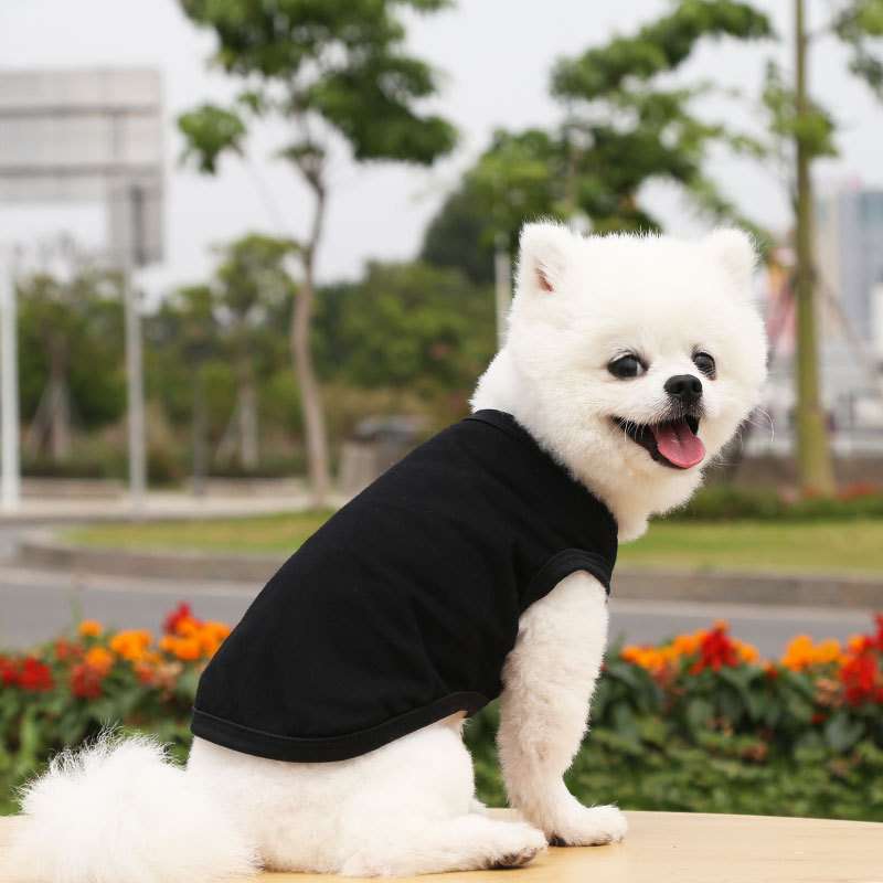 犬服 小型犬〜中型犬用Tシャツ