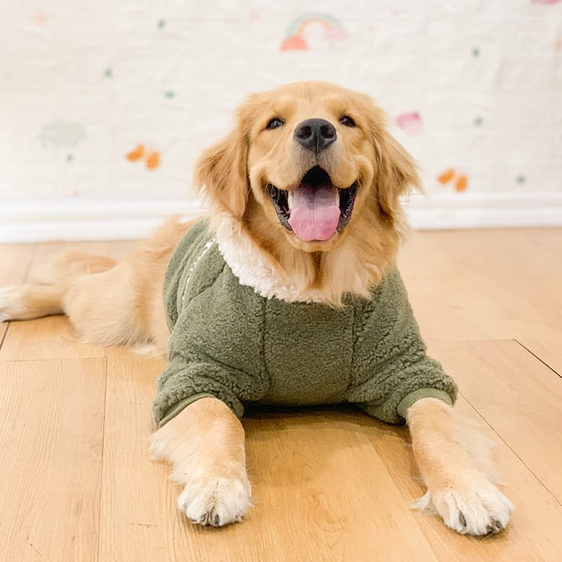 犬服 もこもこボア切替フード付き犬用パーカー