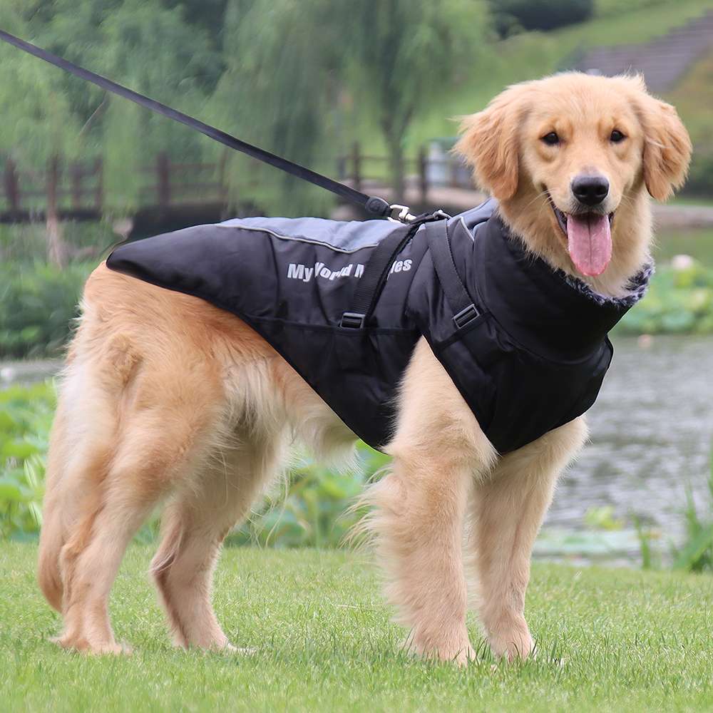犬服 大型犬用アウトドアジャケット