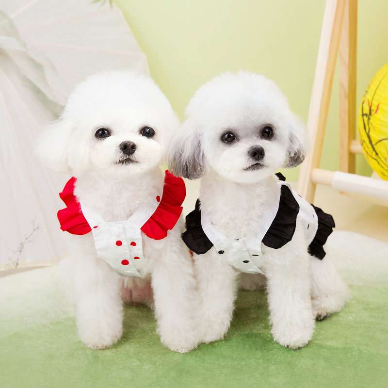 犬服 ふんわりポルカドット ワンピース