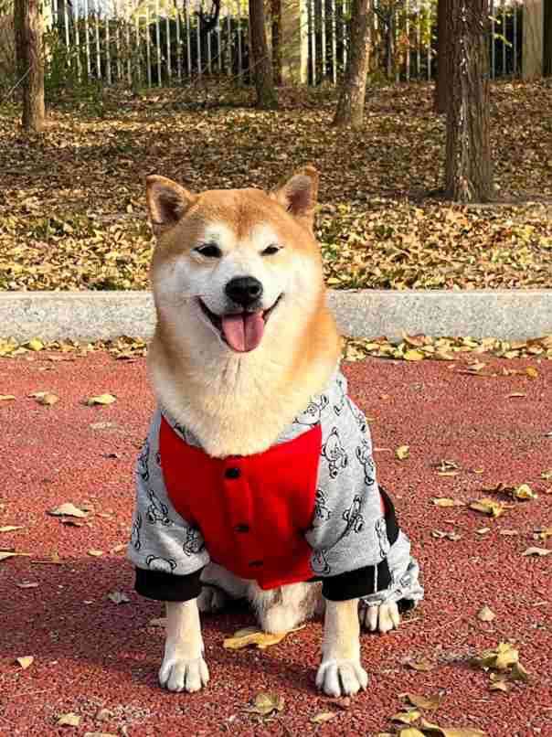 犬服 モコモコ全身つなぎパジャマ