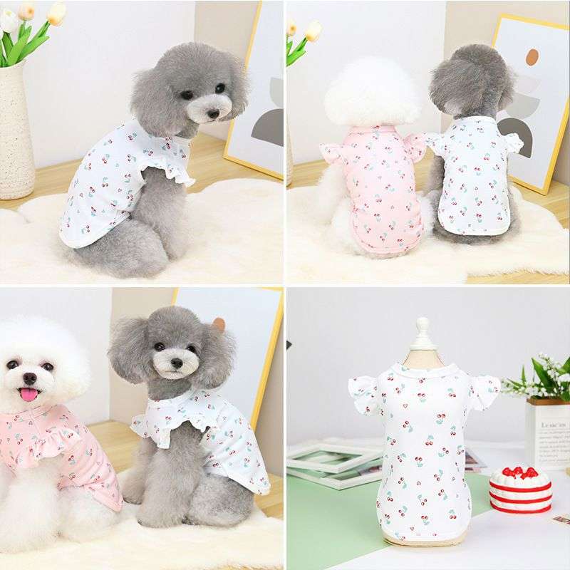 犬服 ふんわり袖のチェリー柄服