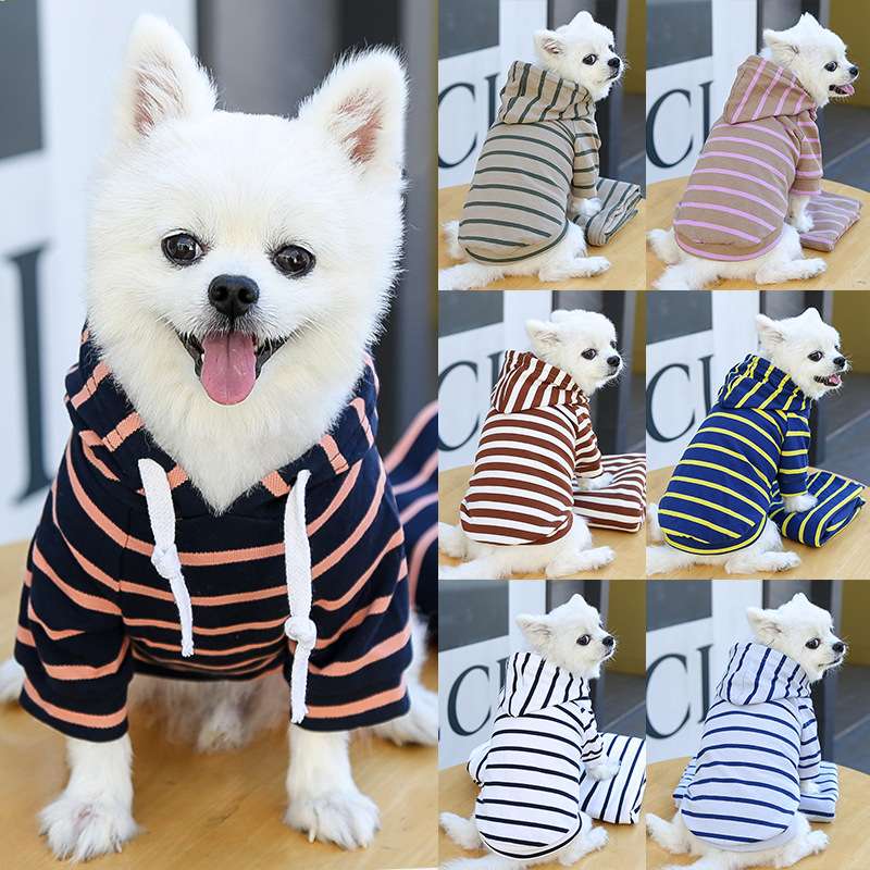 パーカー風ボーダー柄犬服