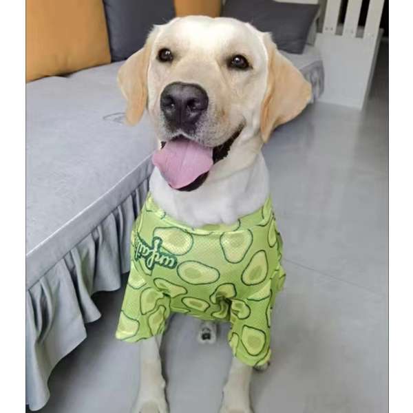 犬服 アボカド柄の犬用Tシャツ