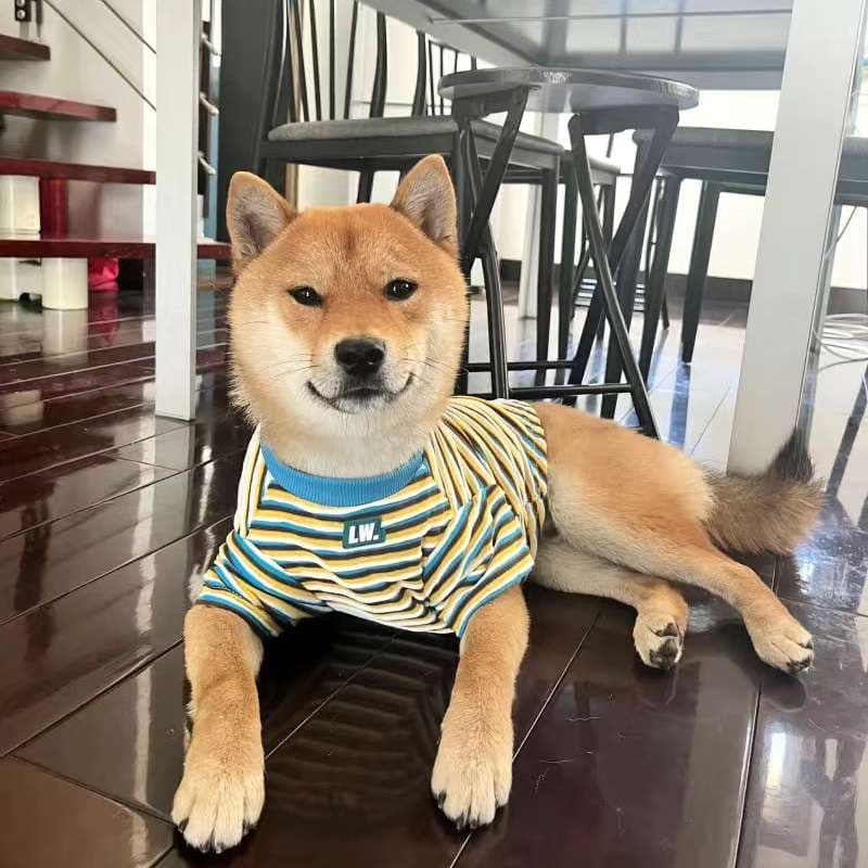 犬服 ボーダー柄の快適ドッグウェア