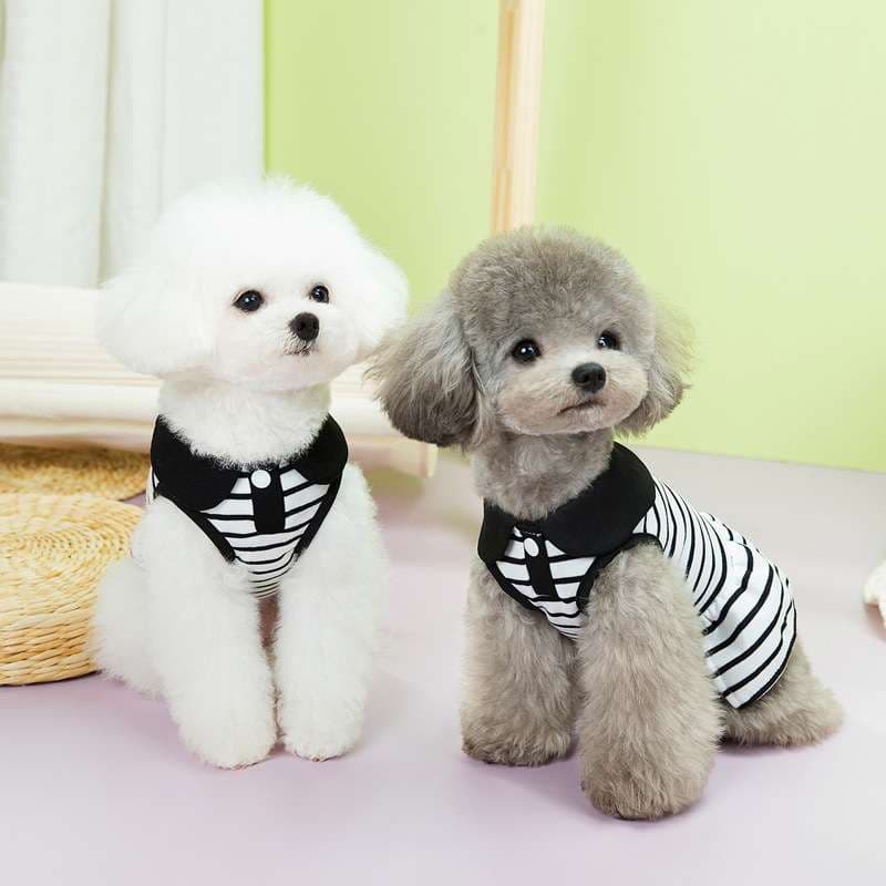犬服 ふわもこワンちゃん用マリンボーダー
