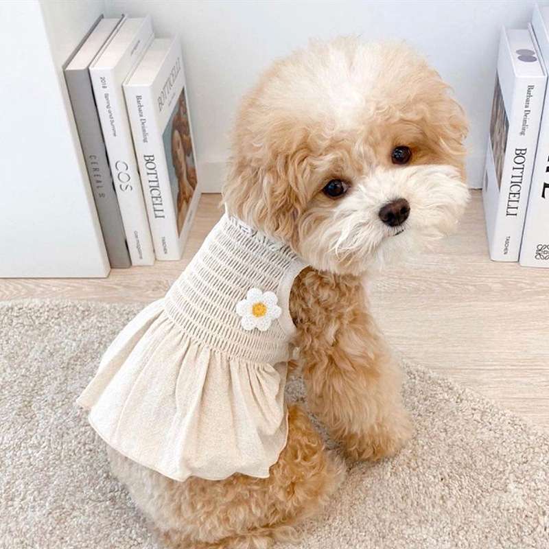 犬服 ふんわりワンピース 小型犬用フラワー付き
