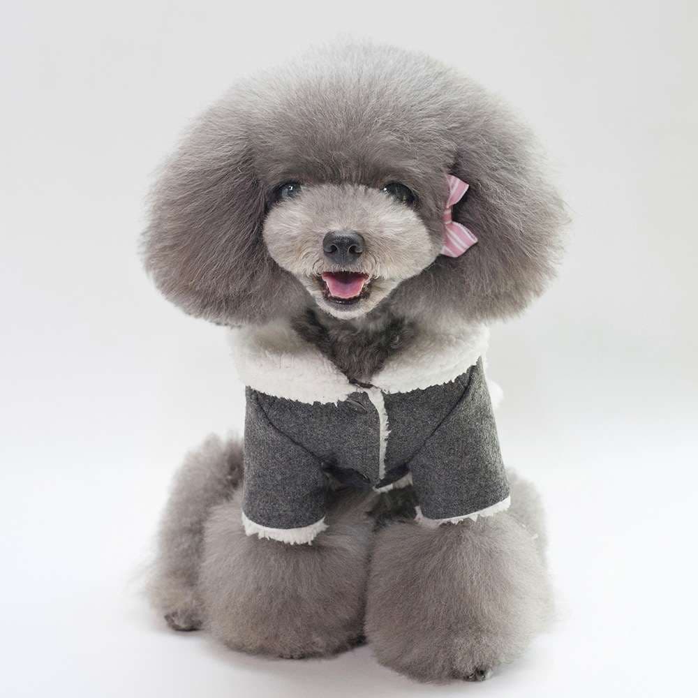 犬服 もこもこあったか小型犬〜中型犬用ジャケット