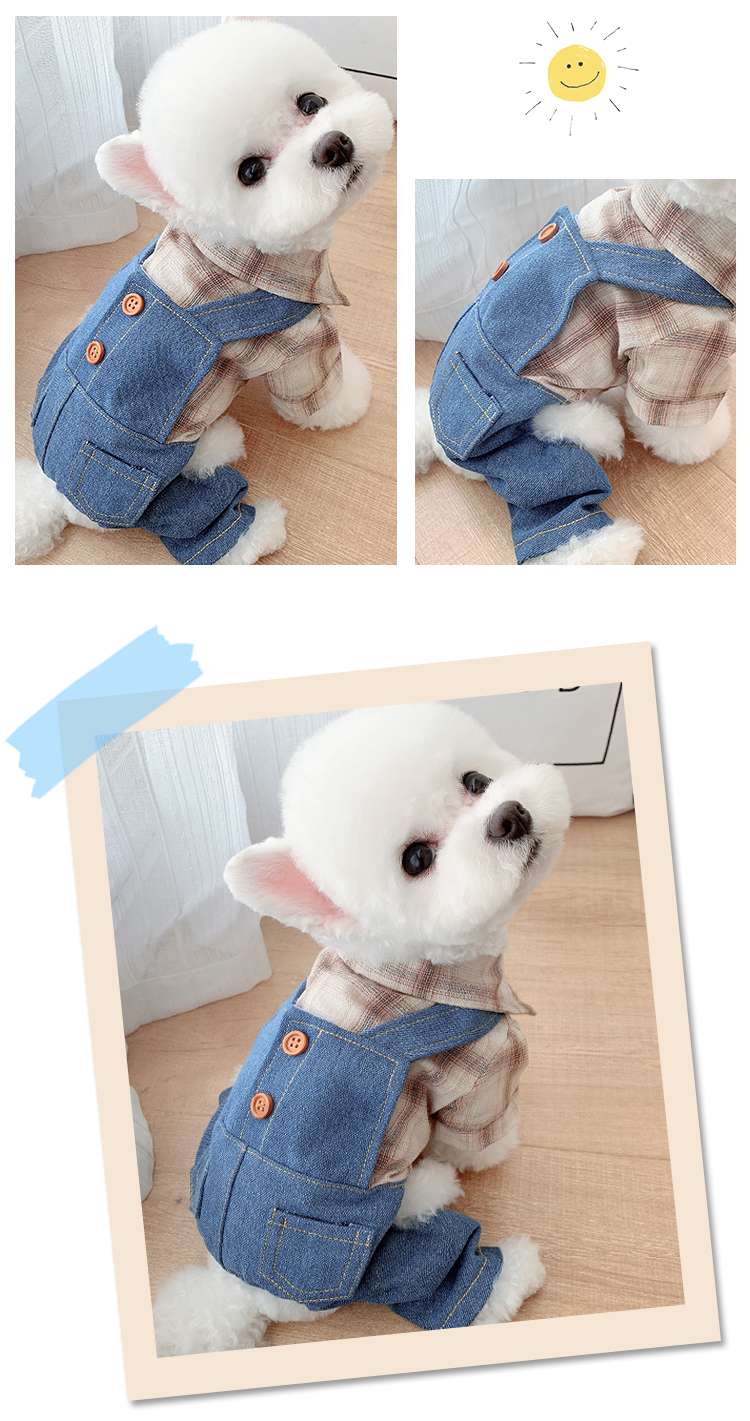 犬服 小型犬用オーバーオール風デニムシャツコーデ