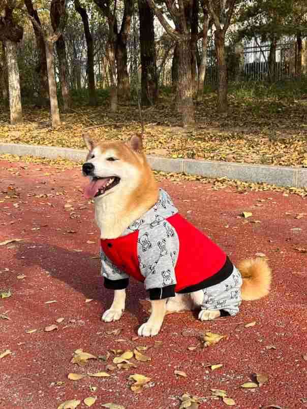 犬服 モコモコ全身つなぎパジャマ