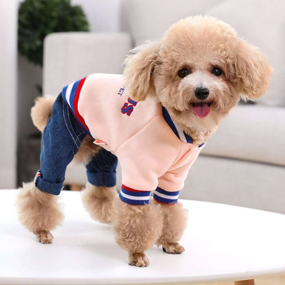 犬服 小型犬用スポーティーつなぎ