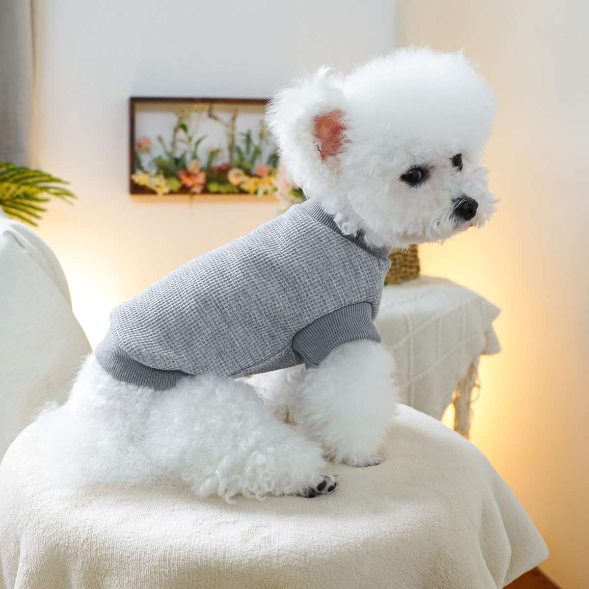 犬服 ふわもこわんちゃん用ニットセーター