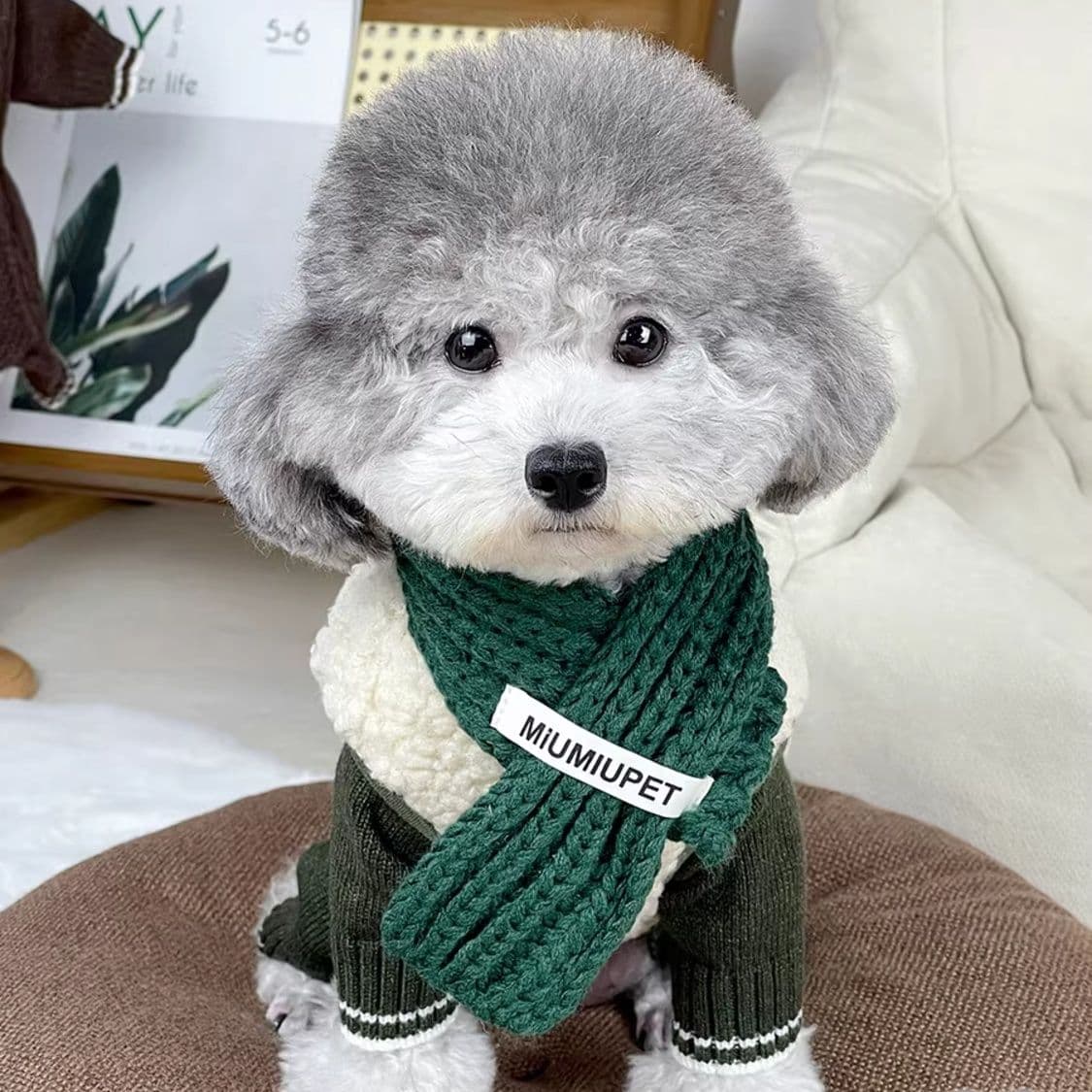 犬服 もこもこマフラー付き冬ニット