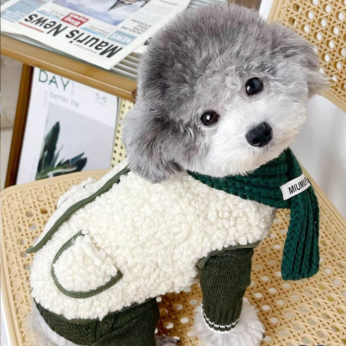 犬服 もこもこマフラー付き冬ニット