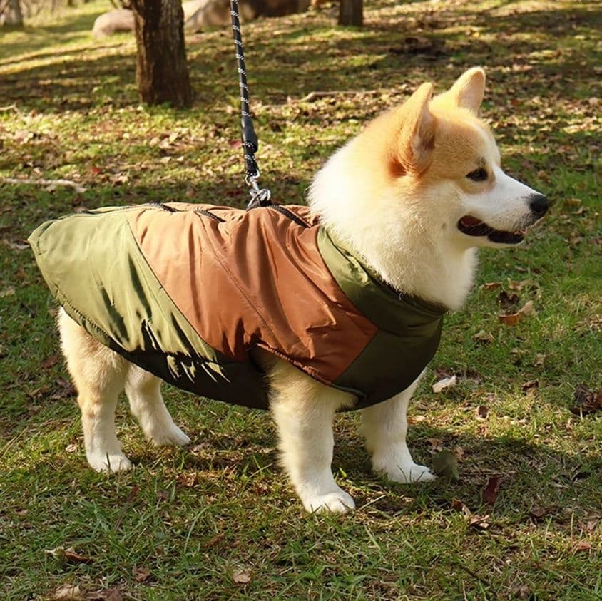 犬服 アウトドア風切り替えコート