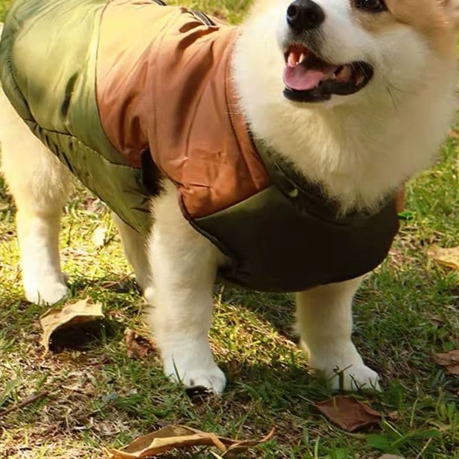 犬服 アウトドア風切り替えコート