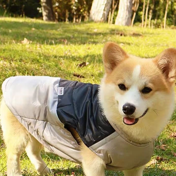 犬服 アウトドア風切り替えコート