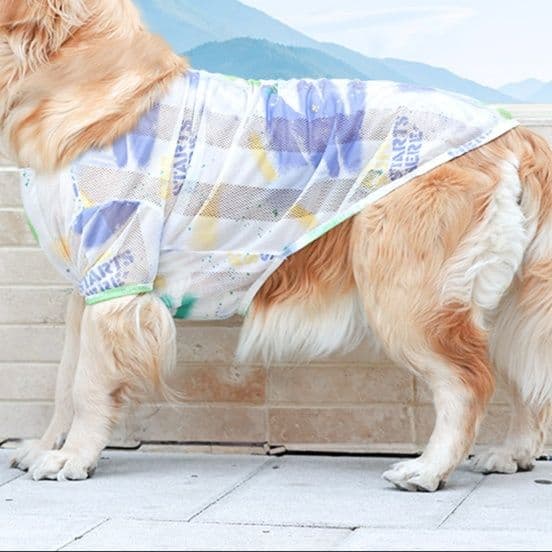 犬服 涼やか水彩メッシュトレーナー