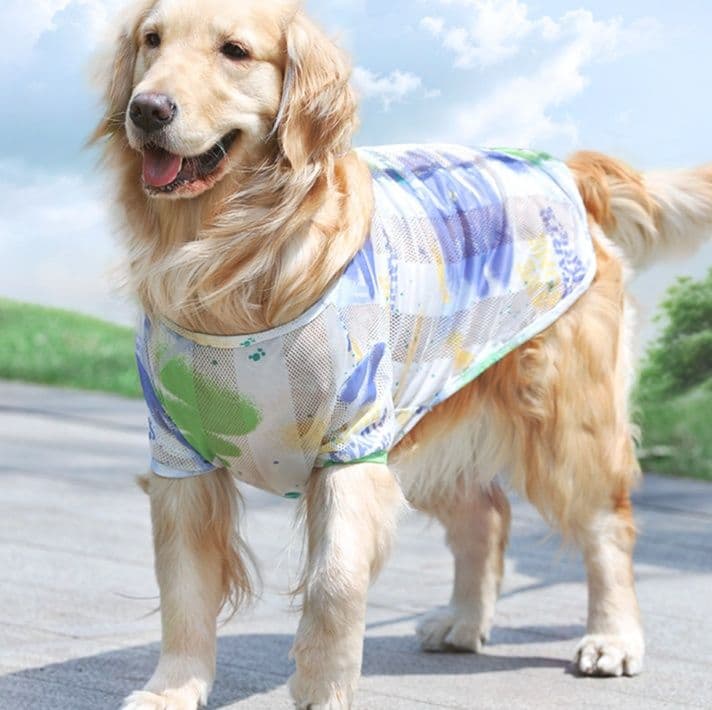 犬服 涼やか水彩メッシュトレーナー