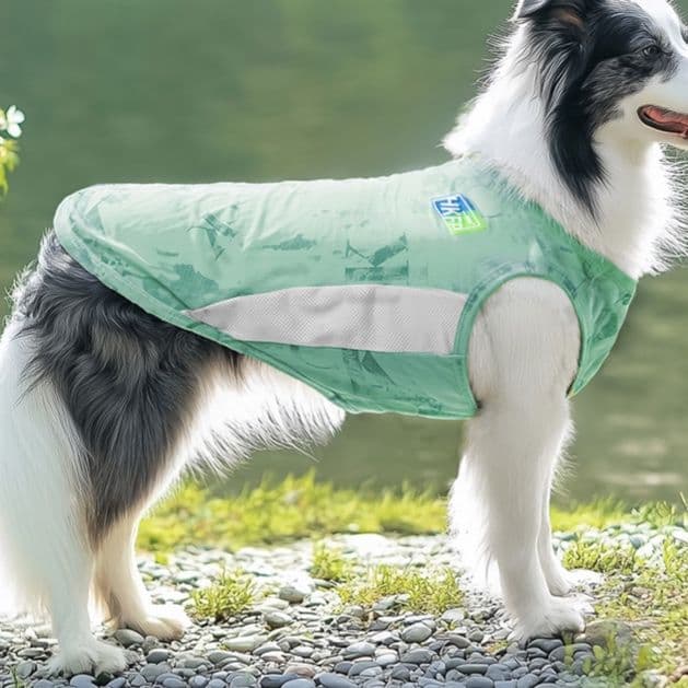 犬服 外出快適ひんやりベスト