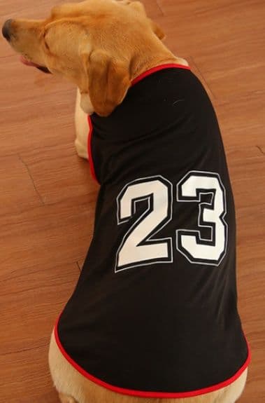 犬服 背番号プリント入りスポーツタンクトップ
