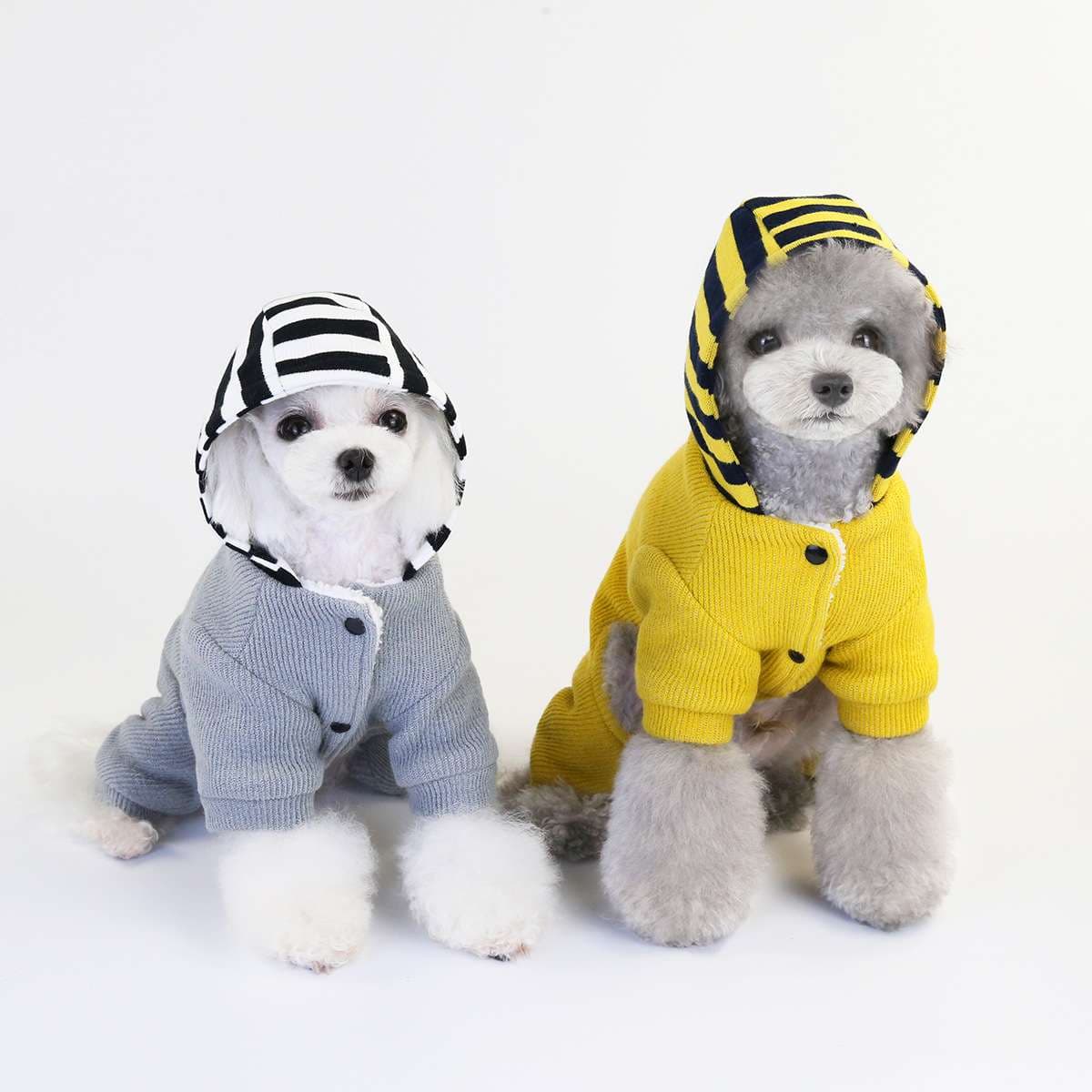 犬服 ボーダーフード付き犬用ニットつなぎ