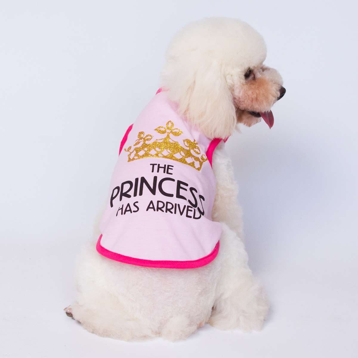 プリンセス王冠ワンピース犬服