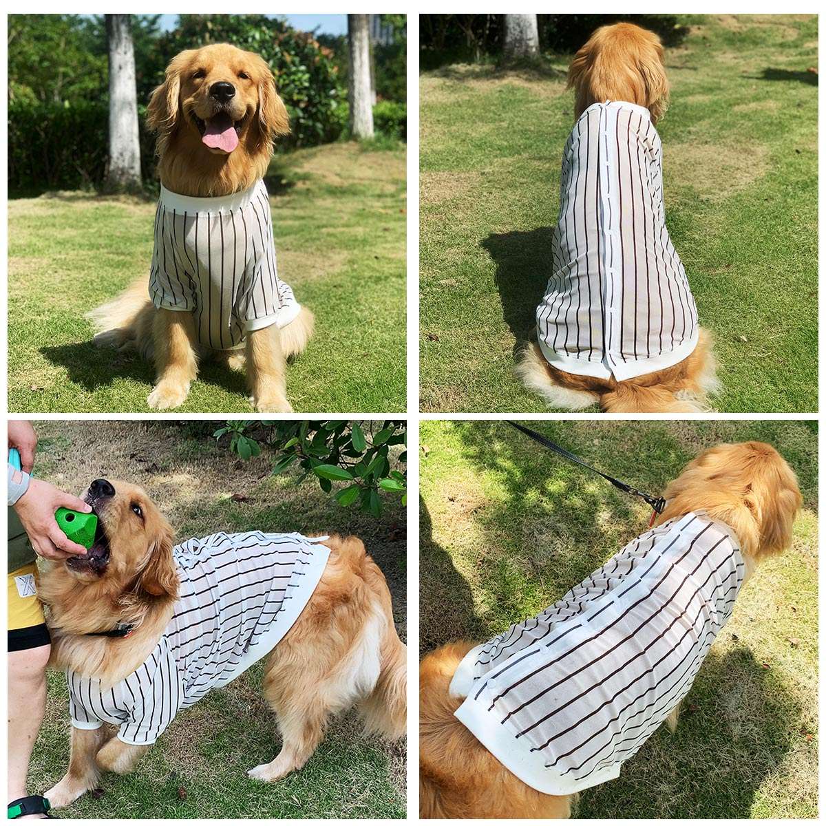 犬服 大型犬用ストライプシャツ