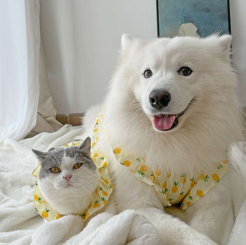 犬服 パイナップル柄 大型犬用ワンピース