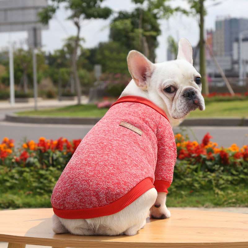 犬服 モコモコあったか小型犬用スウェット
