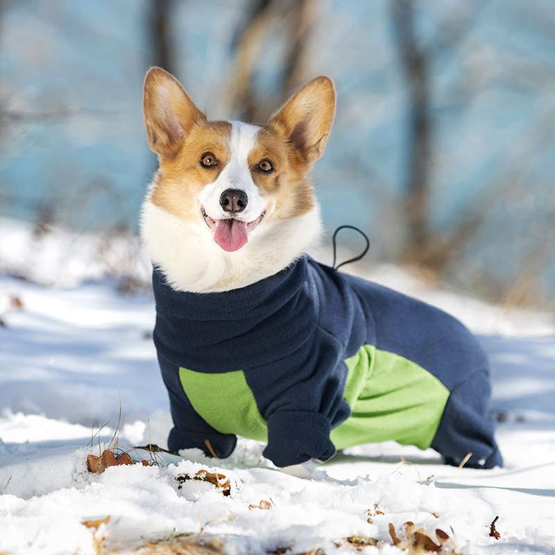 犬服 冬のお散歩あったか全身スーツ