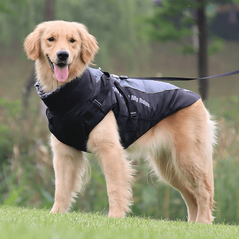 犬服 大型犬用アウトドアジャケット